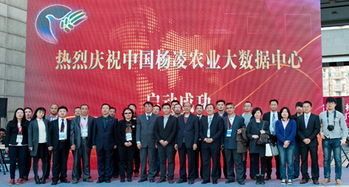 北京電子信息職業(yè)教育集團(tuán) 打造產(chǎn)教融合新生態(tài)，賦能教育信息服務(wù)升級